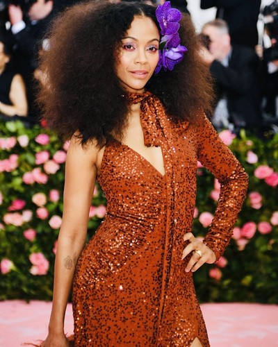 Foto zoe saldana 8x10 lucida - foto,